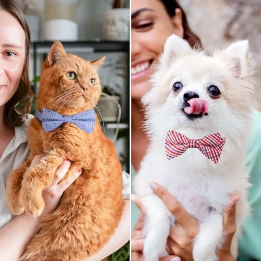 Puppy Bow Ties, 10 PCS Dog Bowtie Collar Bulk Holiday Cat Collar Grooming Bows for Pet Photography Festival Party Neck Wear Gif