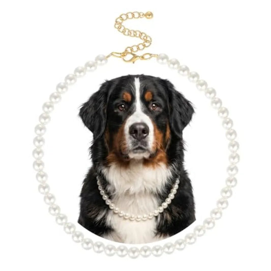 Durable Cute Fashion Pet Collar for Light Jewelry Bold Puppy Accessories Pet Gift