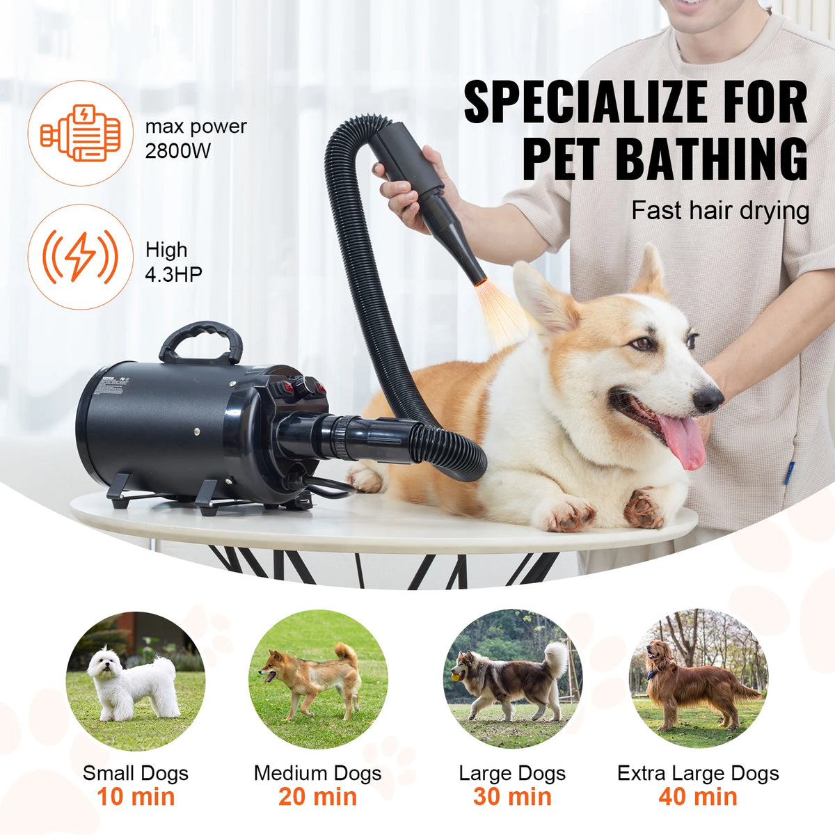 SucceBuy 2000W Dog Blow Dryer With Extendable Hose And Adjustable Speed