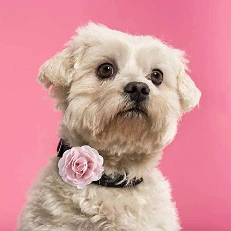14 Pcs Flower for Dog Collar Pet Collar Flowers Charms Multi Color Bow Tie for Cat Puppy Dog Groomg Accessories
