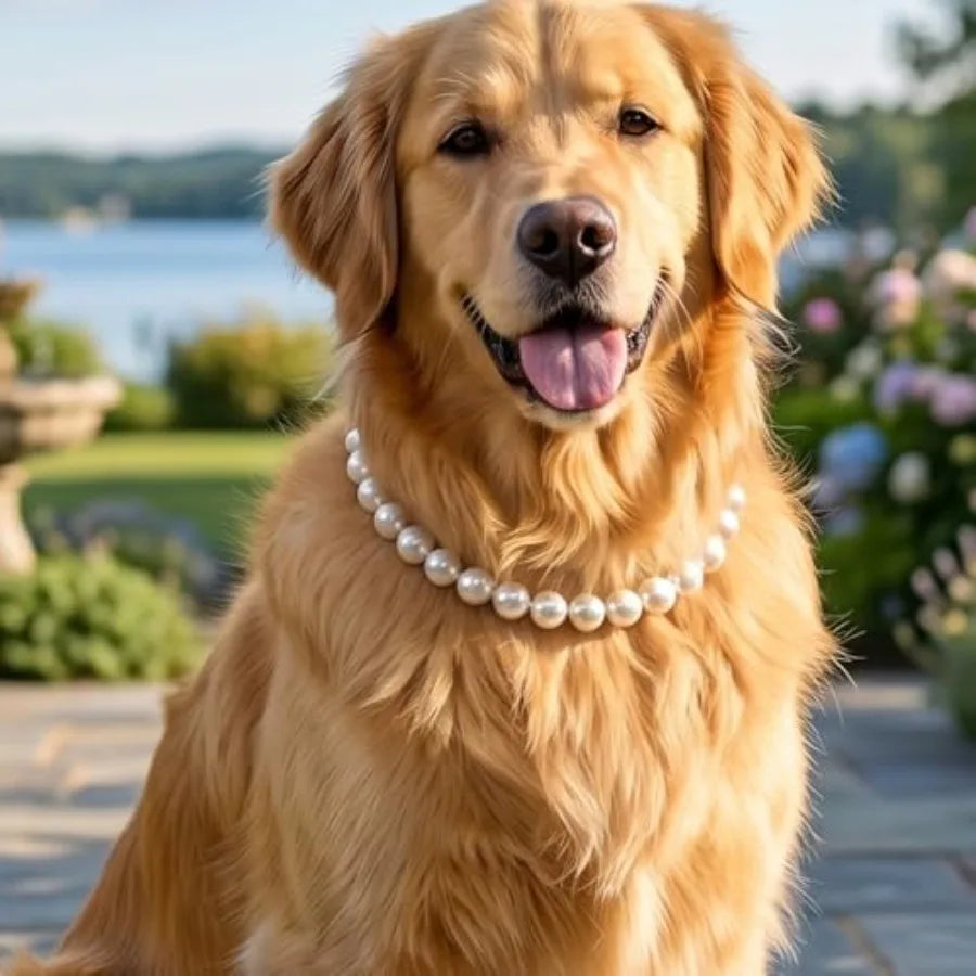Durable Cute Fashion Pet Collar for Light Jewelry Bold Puppy Accessories Pet Gift