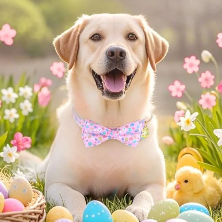 Easter Rabbits Eggs Adjustable Dog Collar Girl Boy Puppy with Detachable Bowtie, Cute Easter Bunny Pet Collar Dog Collar, Soft