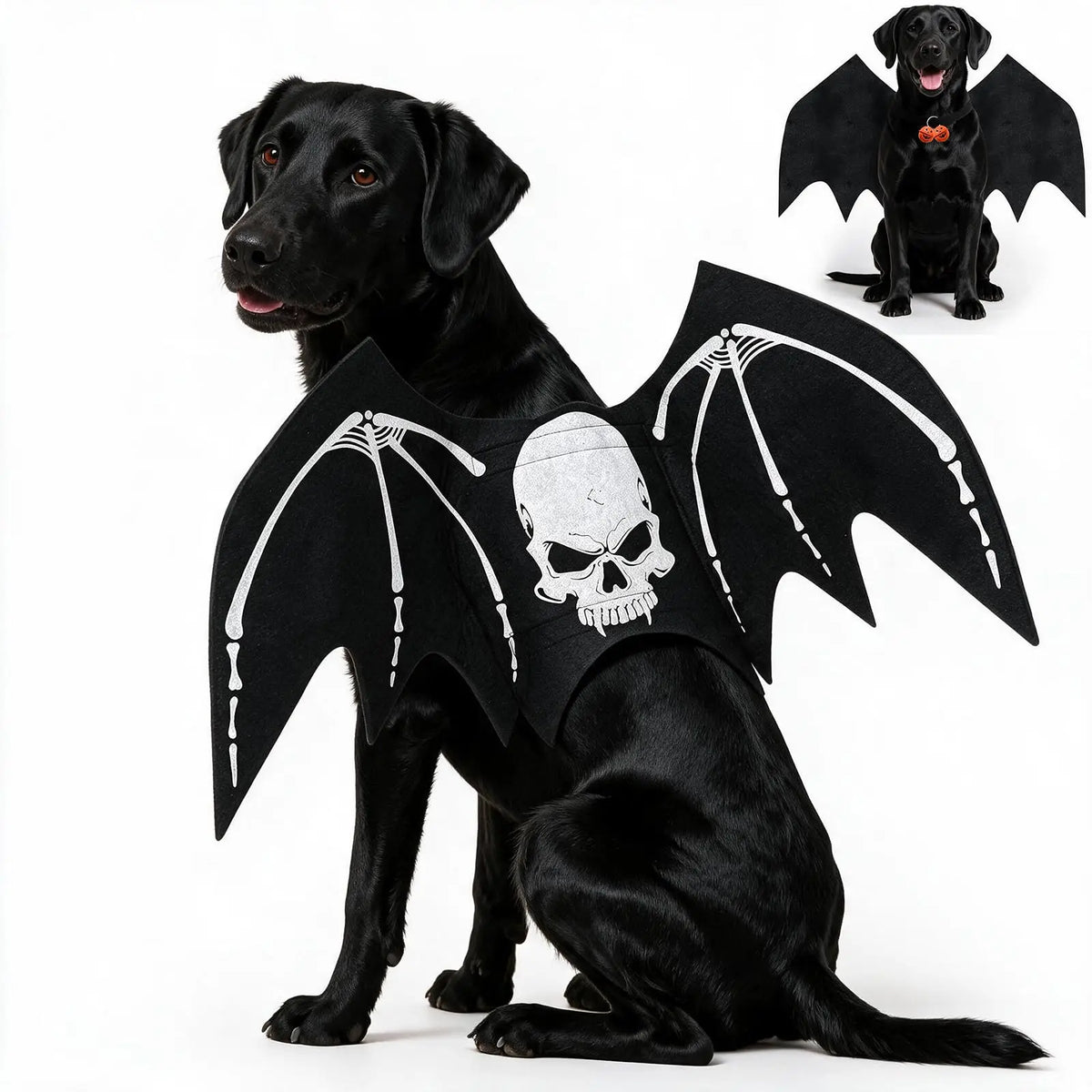 Halloween Bat Wing Dog Costume Skeleton Print And Pumpkin Bell