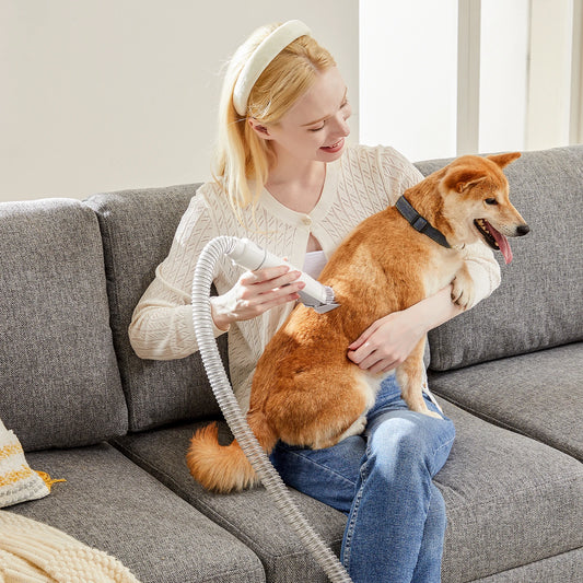 Professional Pet Grooming Vacuum Kit With Cordless Low Noise Clippers