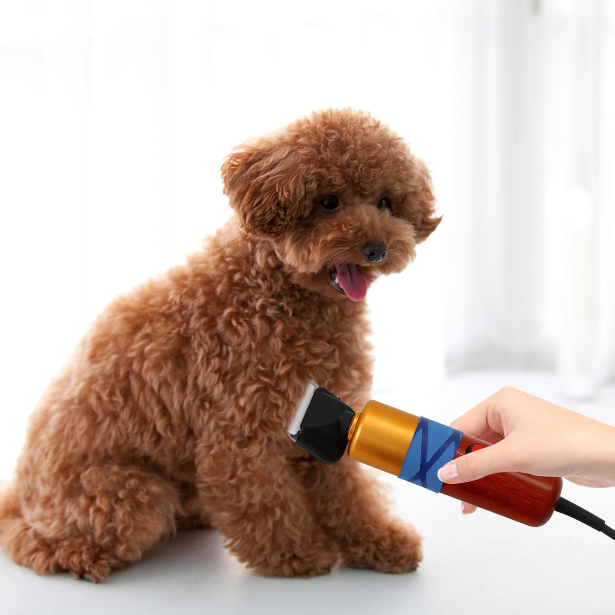 Pet Hair Clipper Low Noise Professional Electric Variable Speed Trimmer
