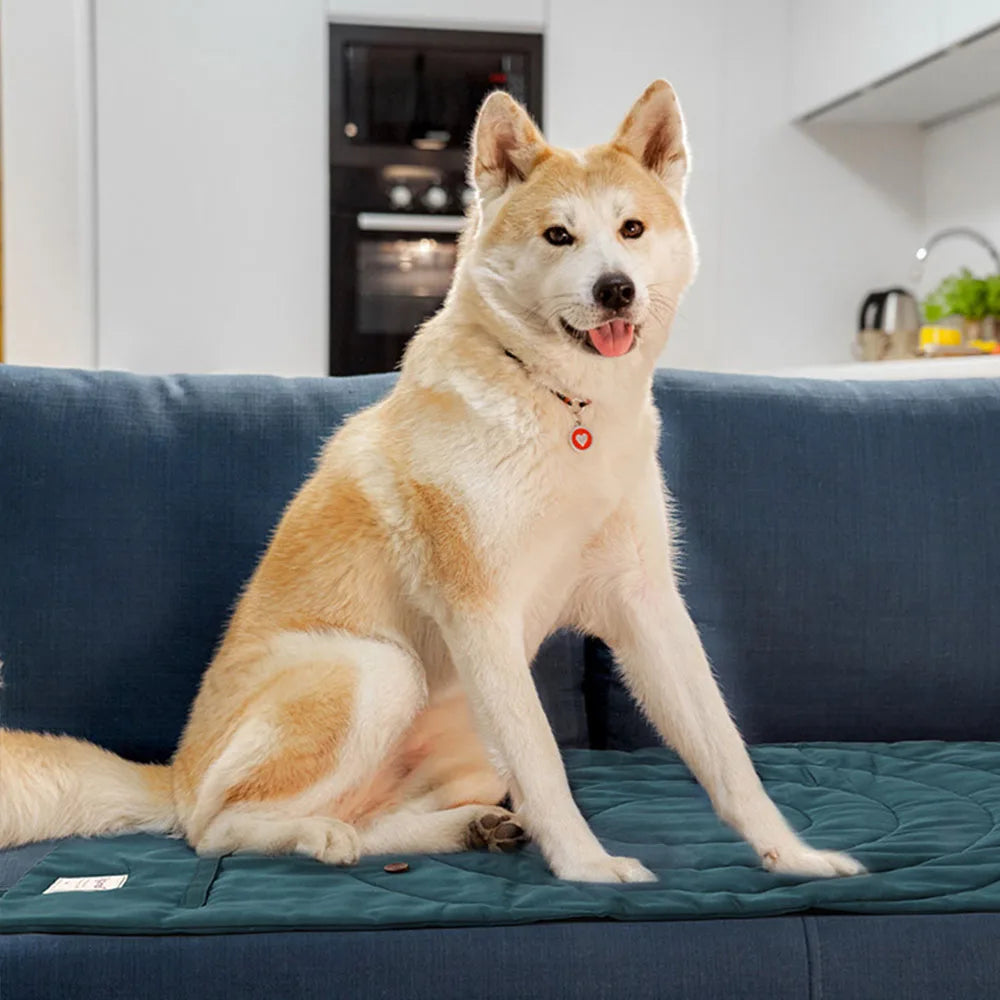 Portable Foldable Waterproof Dog Mat With Warm Non Slip Cushion