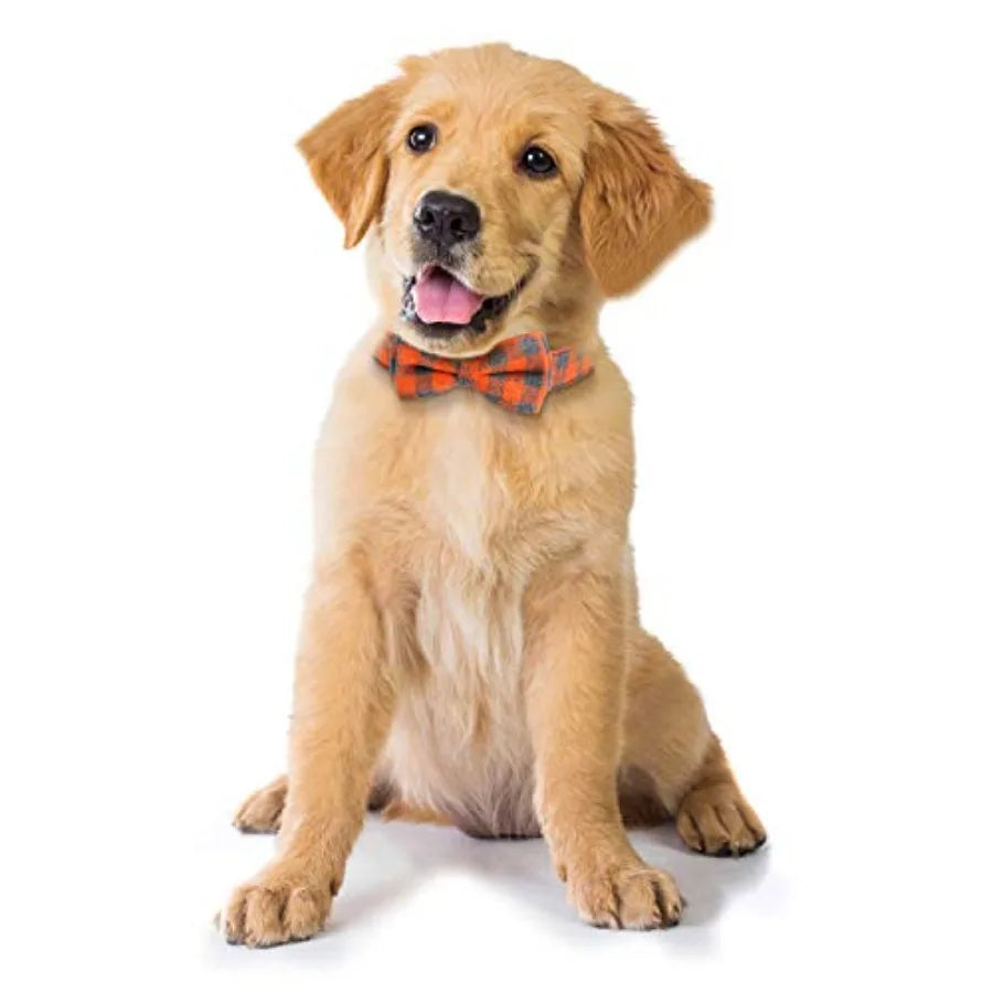 Dog Bow Tie, Plaid Bow Tie Dog Collar Unique Lock Buckle Soft Comfortable, Adjustable Comfy Bowtie for Dogs Cats Pets Durable C