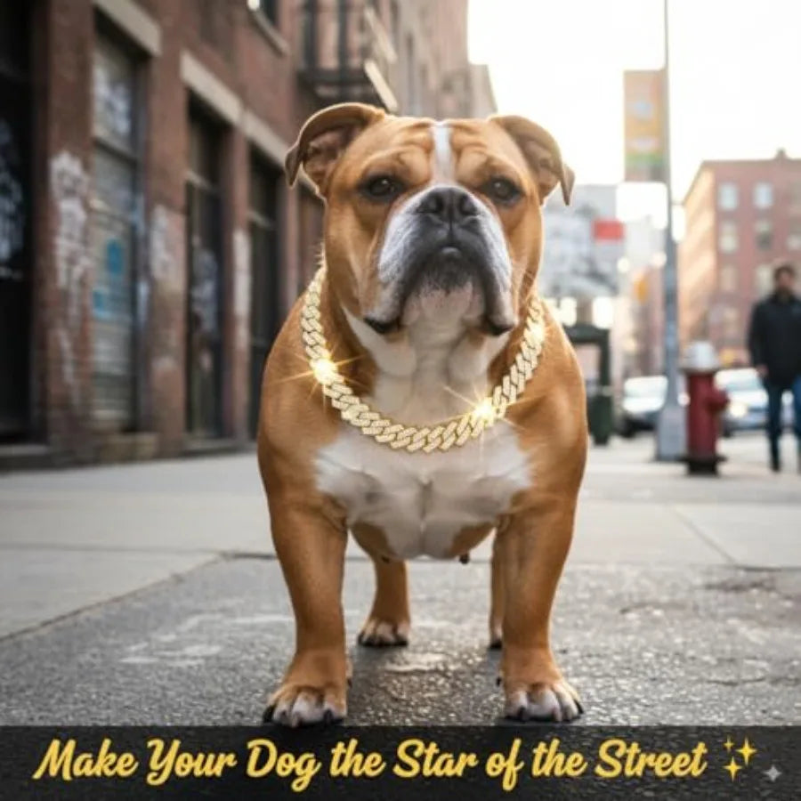 Luxury Cuban Link Dog Collar Dog Chain Necklace with Diamond Rhinestones - 0.59 Inch Width Metal Pet Collar Jewelry for Small M