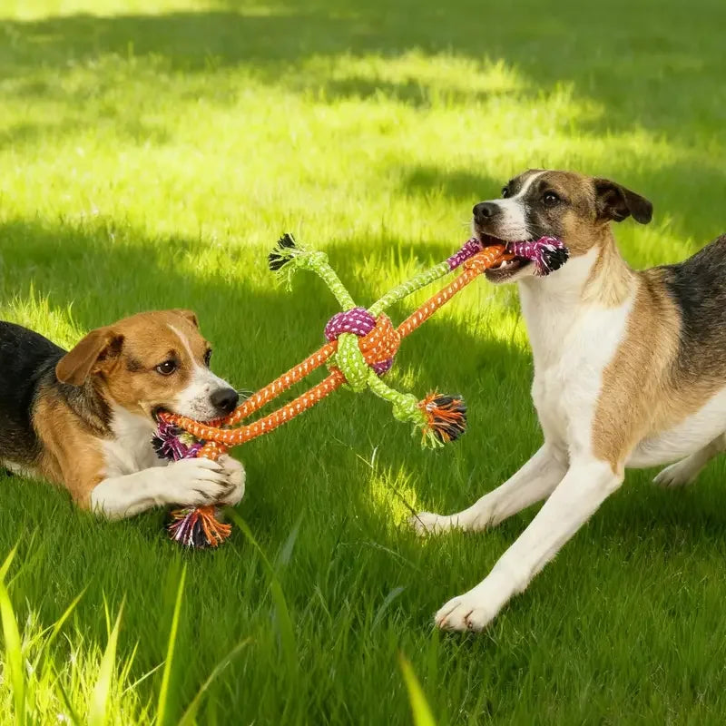 Durable Dog Rope Toy For Teeth Cleaning And Interactive Training
