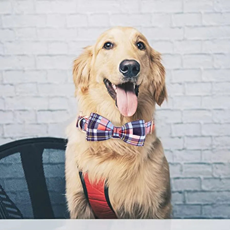 Adjustable Bow Tie Dog Collar Printed Cute Patterns Spring Summer Soft Pet Collars for Dogs