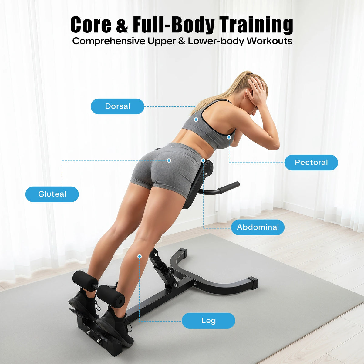 Roman Chair Back Extension Machine For Abdominal And Spine Strength