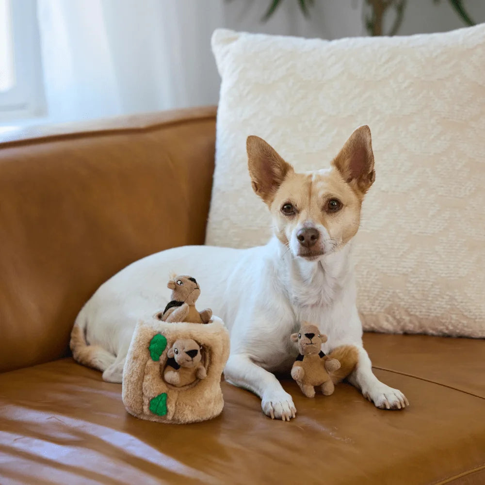 Interactive Plush Squirrel Hide And Seek Toy With Squeaky Squirrels