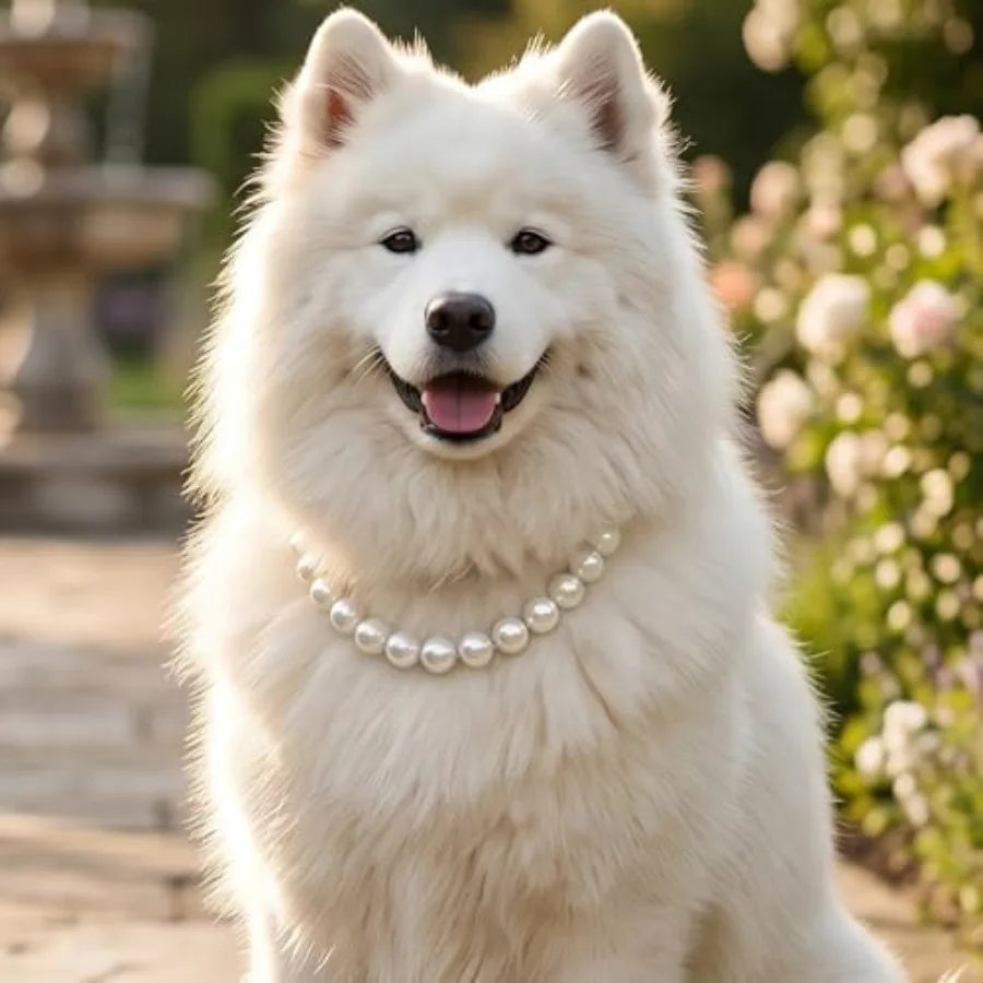 Durable Cute Fashion Pet Collar for Light Jewelry Bold Puppy Accessories Pet Gift
