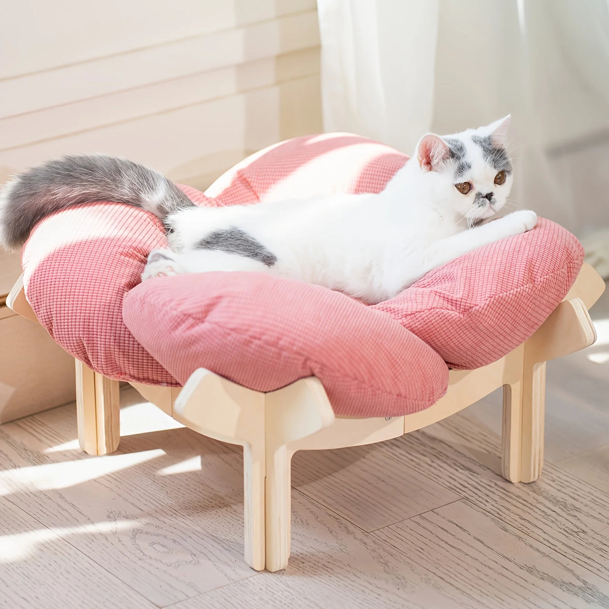Raised Wooden Cat Bed with a Soft Cushion; Cozy Pet Sofa Designed for Indoor Use; an Elevated Lounging Spot Ideal for Small Dogs