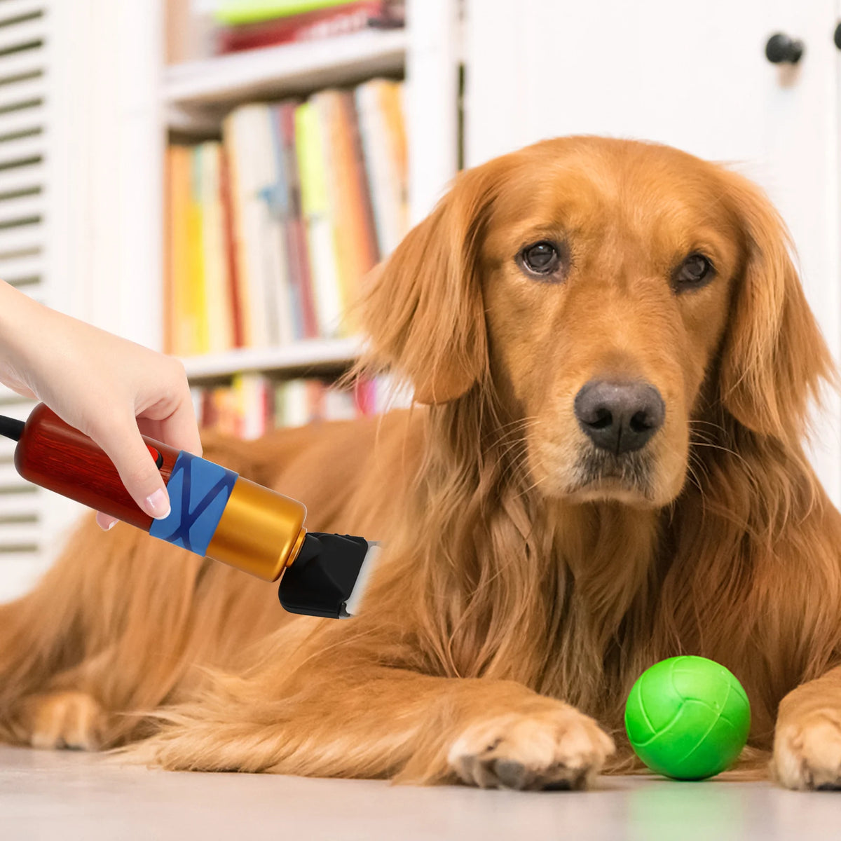 Pet Hair Clipper Low Noise Professional Electric Variable Speed Trimmer
