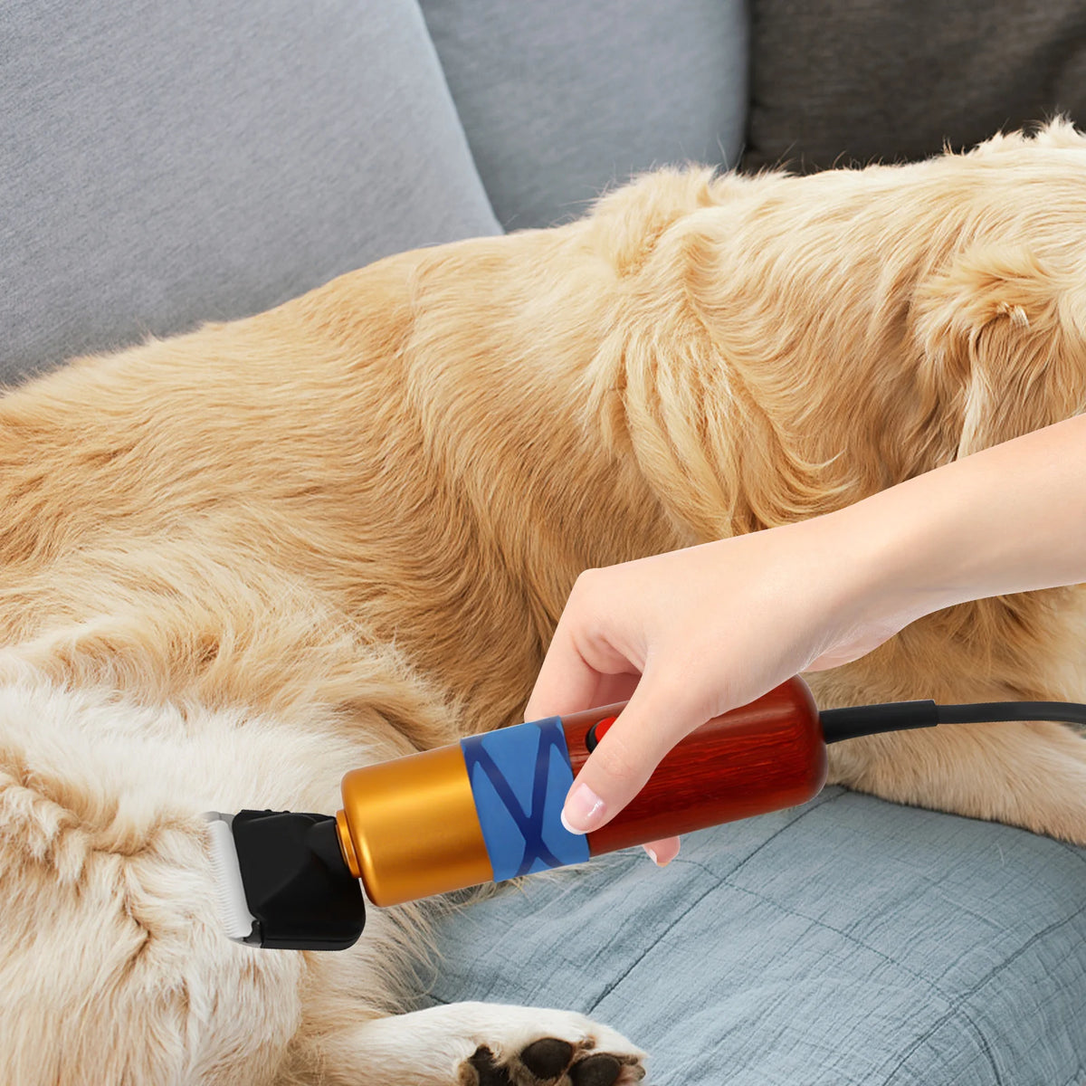 Pet Hair Clipper Low Noise Professional Electric Variable Speed Trimmer