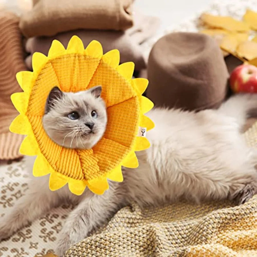 Sunflower Cat Recovery Cone Collar Soft Cotton Pet Cone Collar Adjustable Sunflower Elizabeth Postoperative Protection for Cats